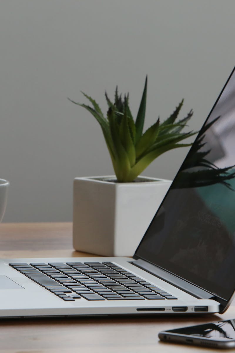 Minimalist home office desk with laptop, smartphone, and plant for a modern work environment.